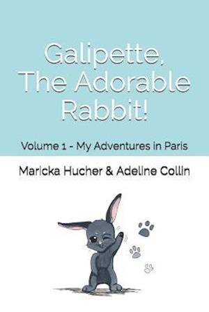 Galipette, The Adorable Rabbit