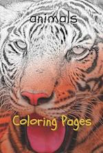 Animal Coloring Pages