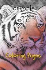 Animal Coloring Pages