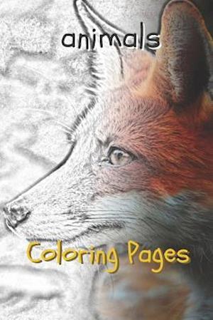 Animal Coloring Pages