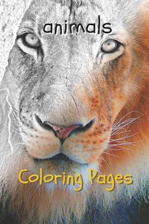 Animal Coloring Pages