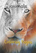 Animal Coloring Pages