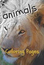 Animal Coloring Pages