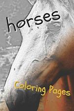 Horses Coloring Sheets