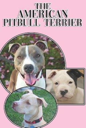 The American Pitbull Terrier