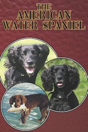 The American Water Spaniel