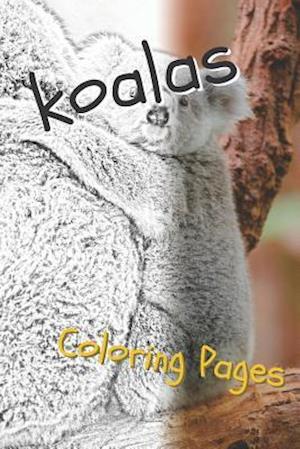 Koala Coloring Sheets