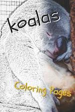 Koala Coloring Pages