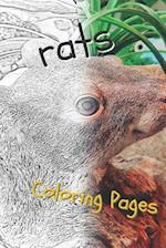 Rat Coloring Pages