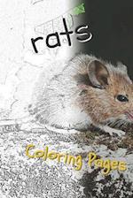 Rat Coloring Pages