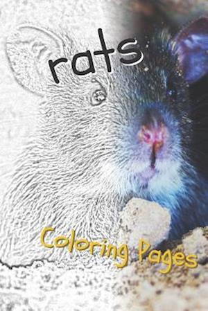 Rat Coloring Pages