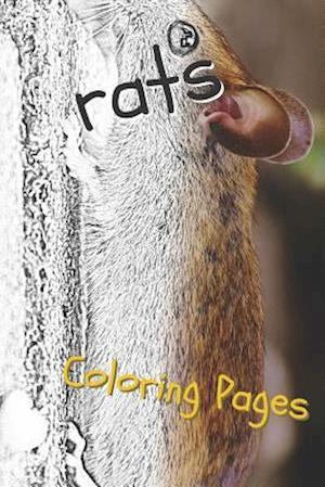 Rat Coloring Pages