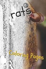 Rat Coloring Pages