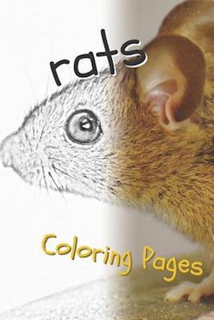 Rat Coloring Pages