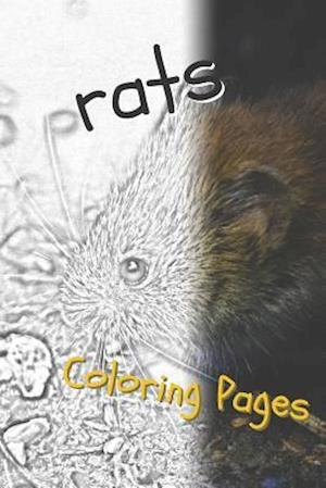 Rat Coloring Pages