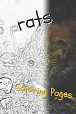 Rat Coloring Pages