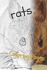 Rat Coloring Pages