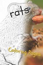 Rat Coloring Pages