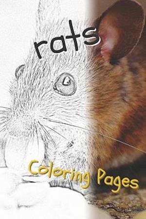 Rat Coloring Pages