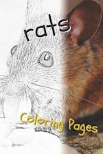 Rat Coloring Pages