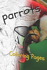 Parrot Coloring Pages