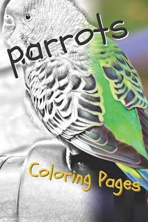 Parrot Coloring Pages