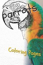 Parrot Coloring Pages