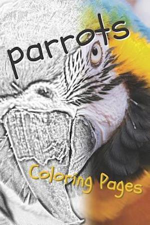 Parrot Coloring Pages