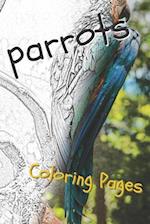 Parrot Coloring Pages