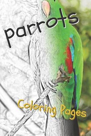 Parrot Coloring Pages