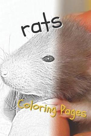 Rat Coloring Pages