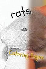 Rat Coloring Pages