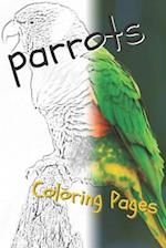 Parrot Coloring Pages