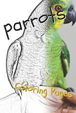 Parrot Coloring Pages