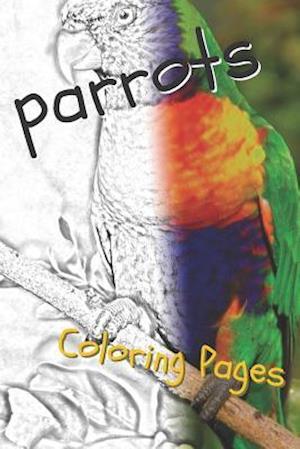 Parrot Coloring Pages