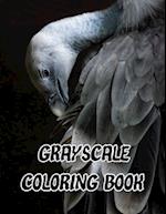 Grayscale Coloring Book