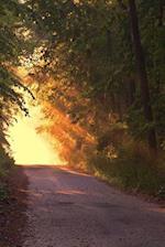 Sunlight Down the Road