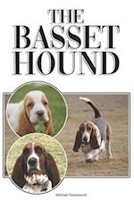 The Basset Hound