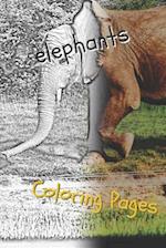 Elephant Coloring Pages