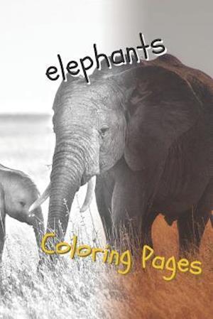 Elephant Coloring Pages