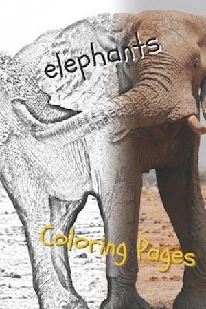 Elephant Coloring Pages