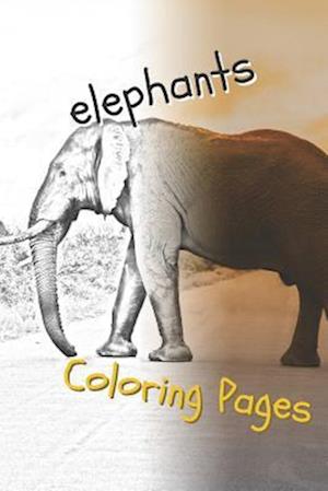 Elephant Coloring Pages