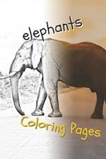 Elephant Coloring Pages