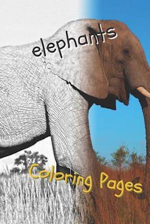 Elephant Coloring Pages