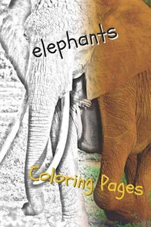 Elephant Coloring Pages