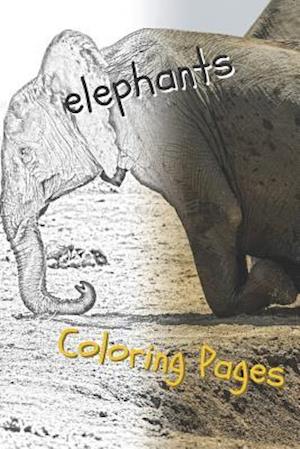 Elephant Coloring Pages