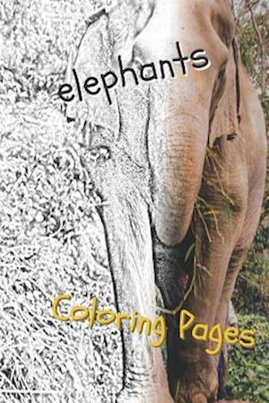 Elephant Coloring Pages