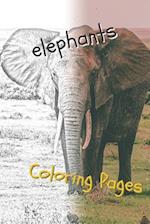 Elephant Coloring Pages