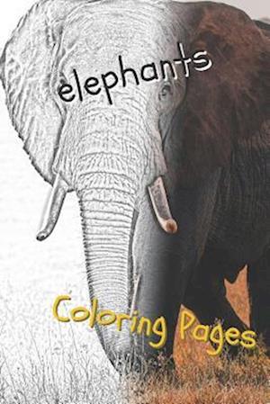 Elephant Coloring Pages