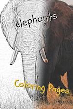 Elephant Coloring Pages